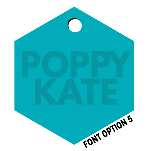 First & Middle Name Diaper Bag Tag